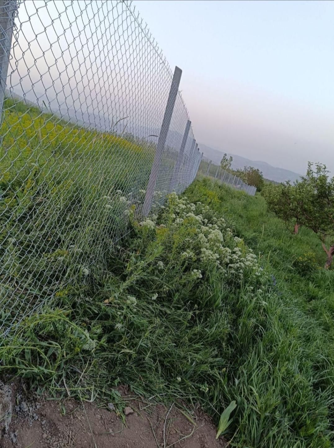 پایه فنس بتونی وتیر باغ انگور|عمده‌فروشی|خوی, |دیوار