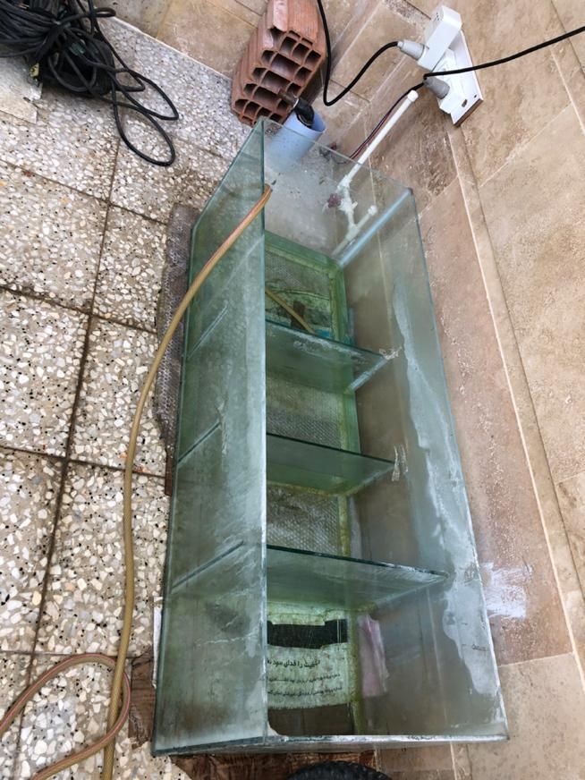 اکواریوم حرفه ای بزرگ|ماهی|گنبد کاووس, |دیوار