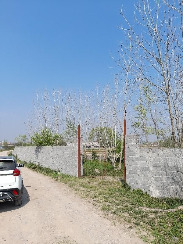 زمین مسکونی/گیلان لولمان|فروش زمین و ملک کلنگی|کوچصفهان, |دیوار