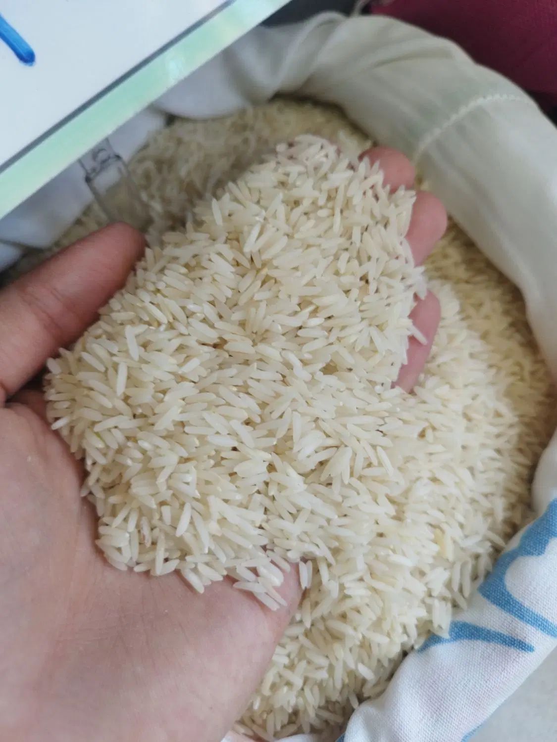 برنج مَمان میانه و حصارمشپا (محصول تازه امسال)|خوردنی و آشامیدنی|زنجان, |دیوار
