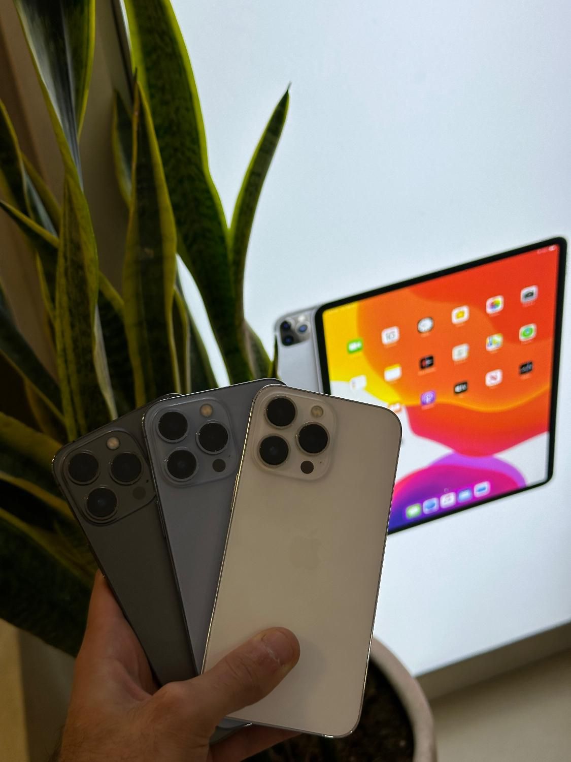 iphone 13 پرو  با مهلت تست|موبایل|مشهد, احمدآباد|دیوار