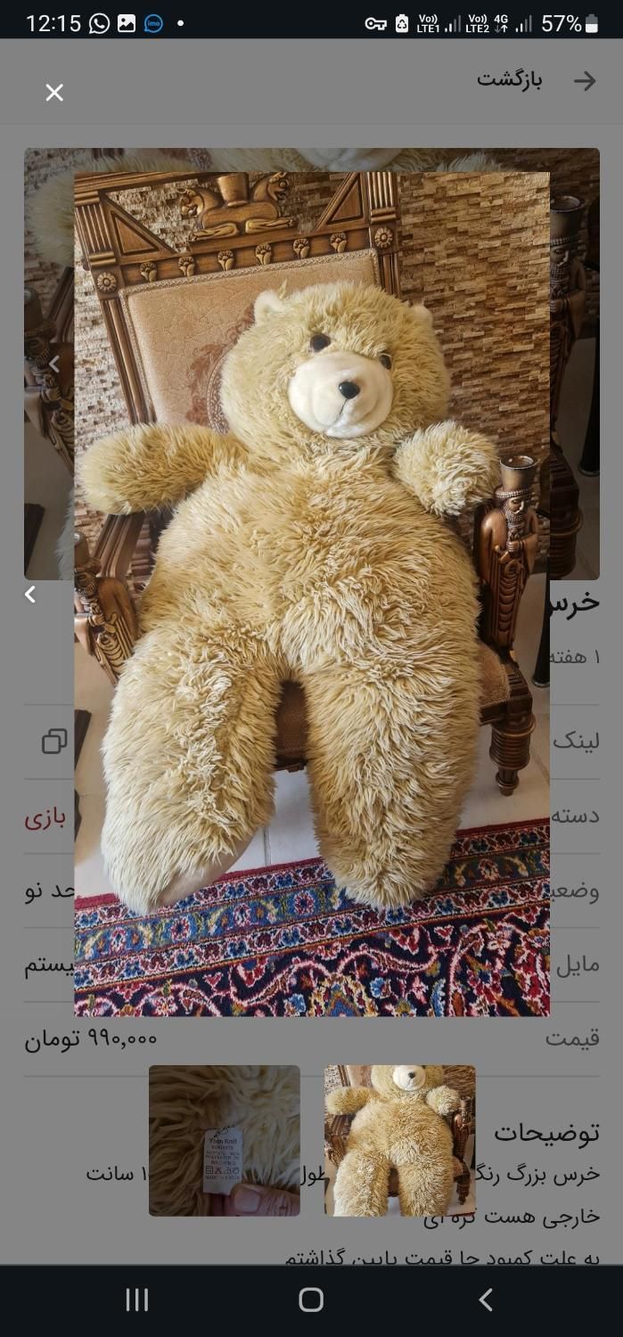 خرس بزرگ شاسخین|اسباب‌بازی بچه|شیراز, فرهنگ شهر|دیوار