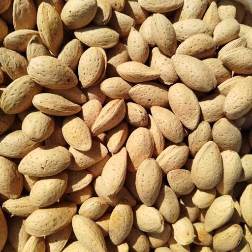بادام سنگی|خوردنی و آشامیدنی|صوفیان, |دیوار