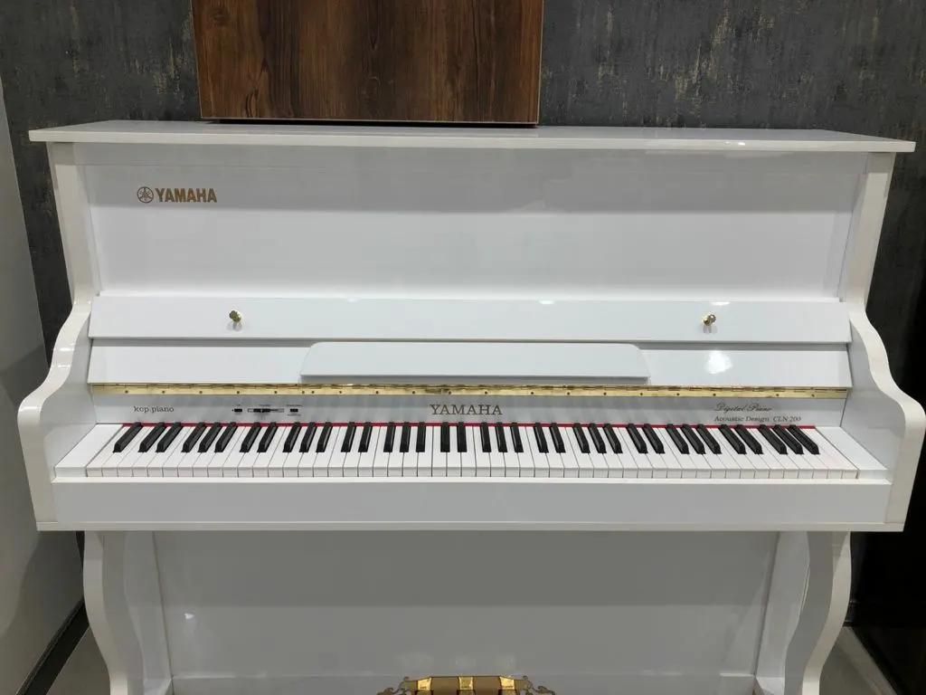 فروش و آموزش پ،ی،ا،ن،و|پیانو، کیبورد، آکاردئون|کاشان, زیارتی|دیوار