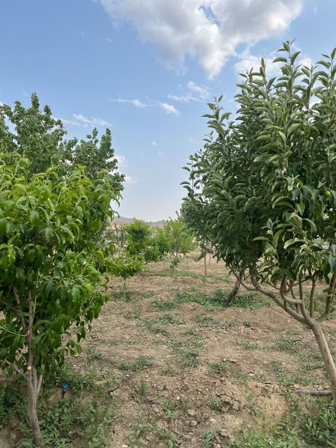 قواره باغی (آبشینه-املاک آروان)|فروش زمین و ملک کلنگی|همدان, |دیوار