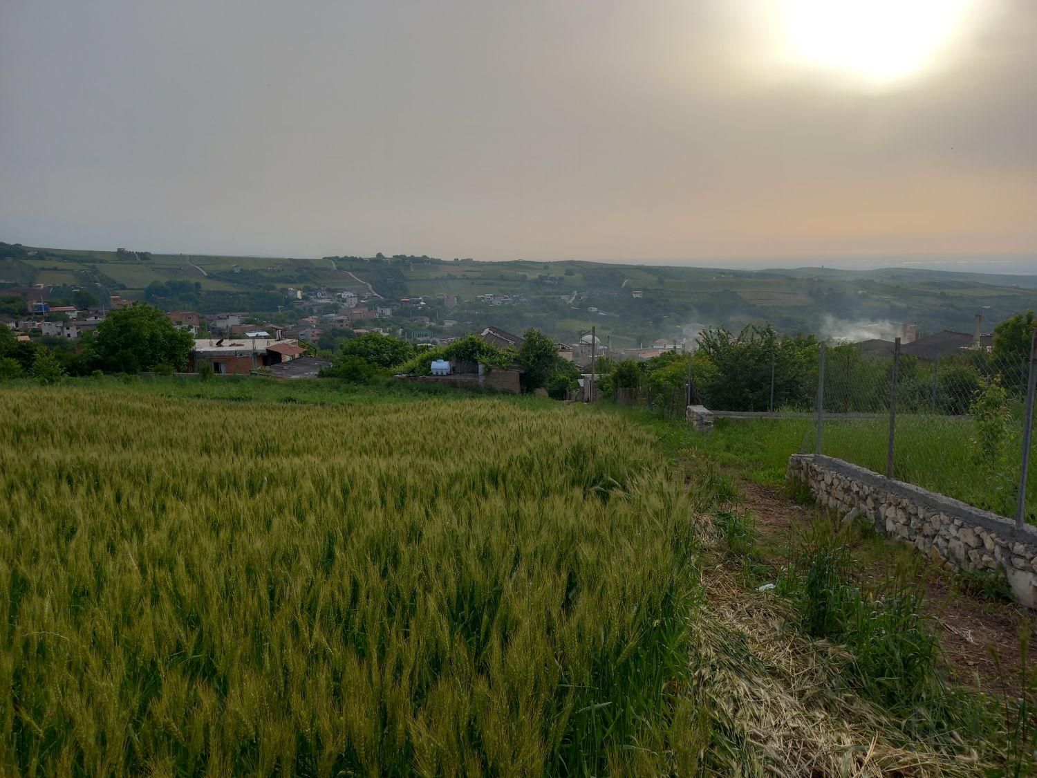 فروش زمین ۵۵۰ متری|فروش زمین و ملک کلنگی|نکا, |دیوار