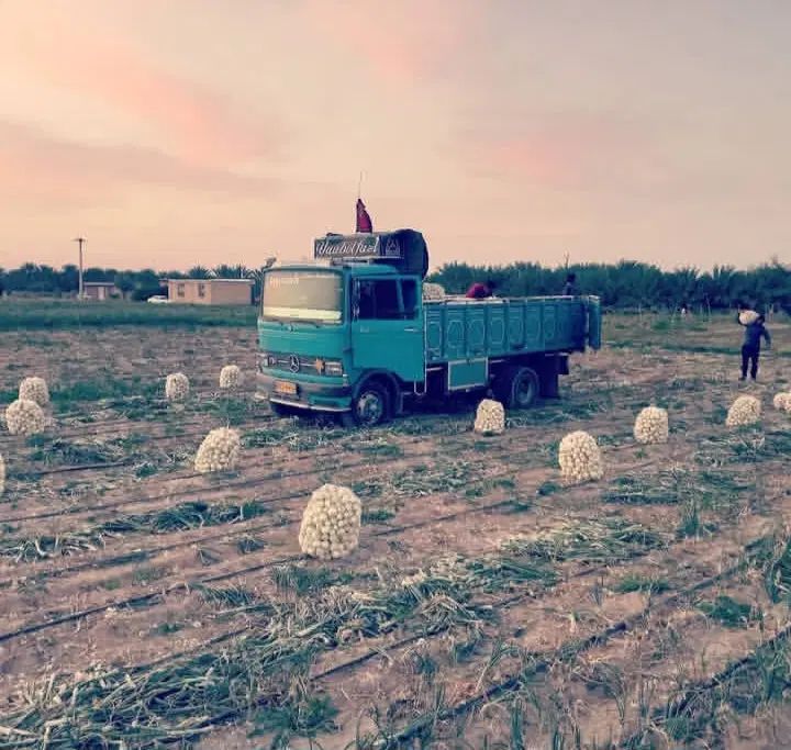 خاور۸۱۳تمیز|خودرو سنگین|اصفهان, کارخانه قند اصفهان|دیوار