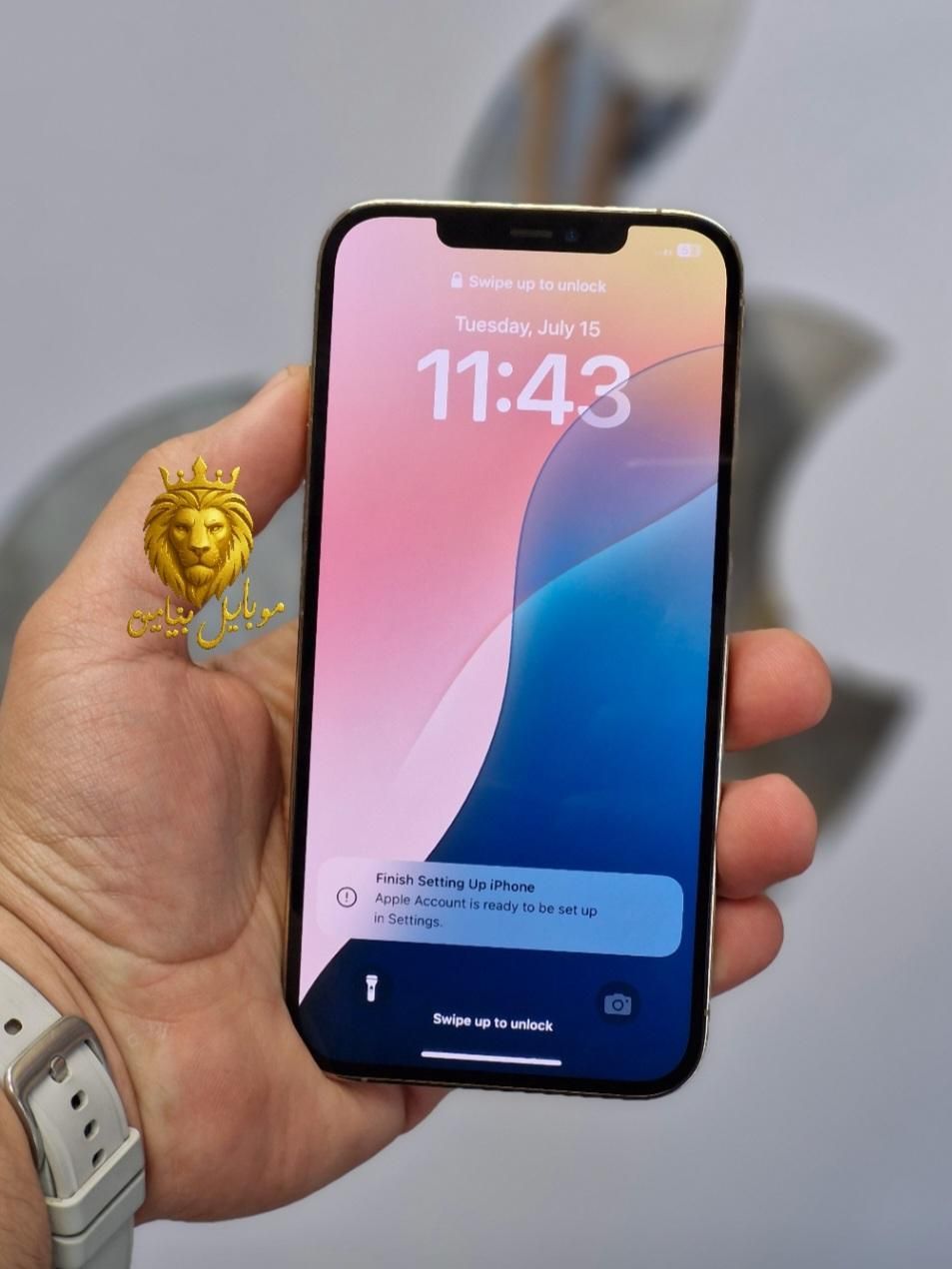 اپل iPhone 12 Pro Max سلامت کامل بشرط|موبایل|رشت, لاکانی|دیوار