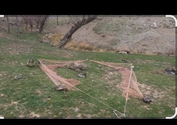 یک عدد تور ۳متری بفروش میرسدمعاوضه باسهرخاکی|لوازم جانبی حیوانات|تاکستان, |دیوار