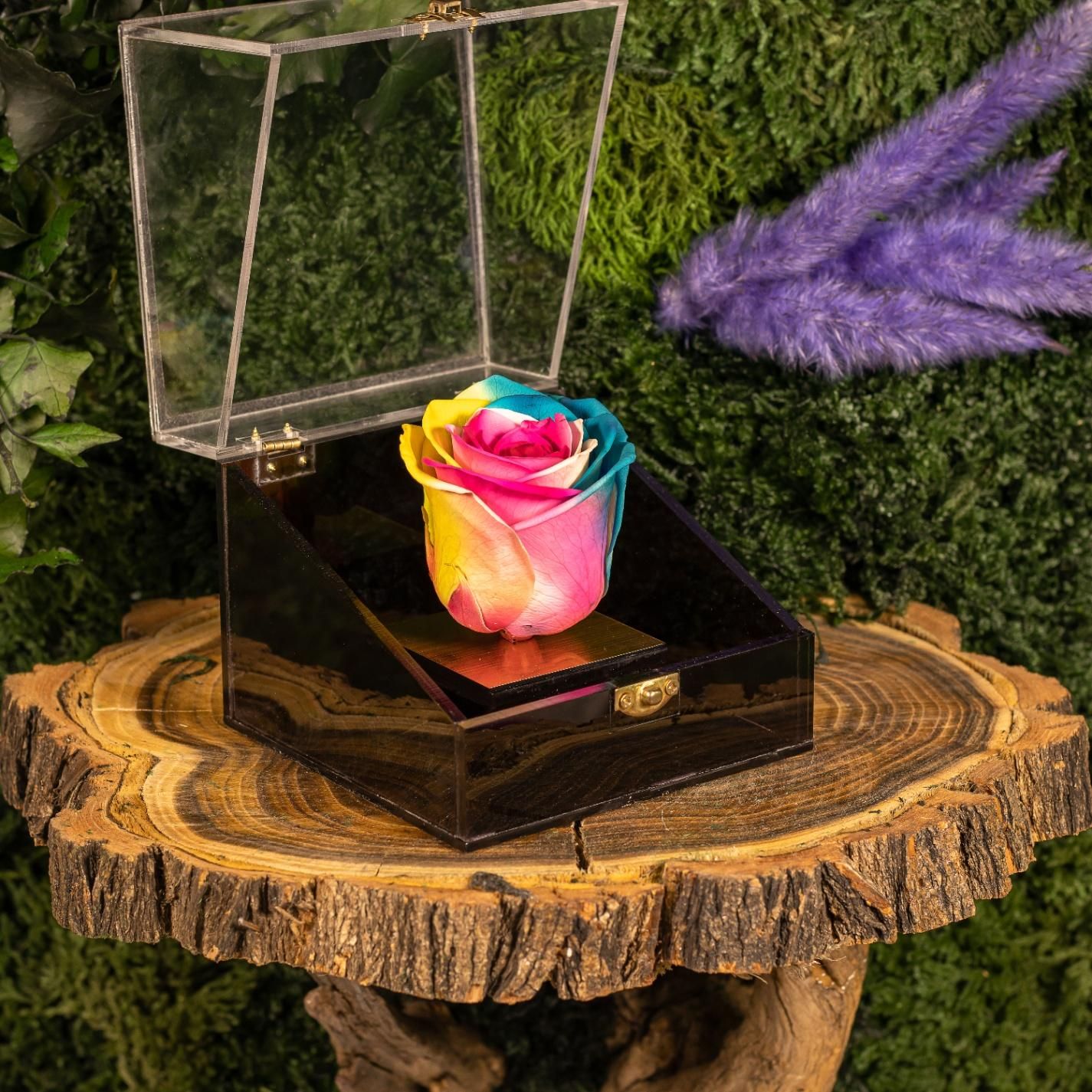 باکس و جعبه گل رز جاودان هدیه تولد و کادو|گل و گیاه طبیعی|تهران, دولاب|دیوار