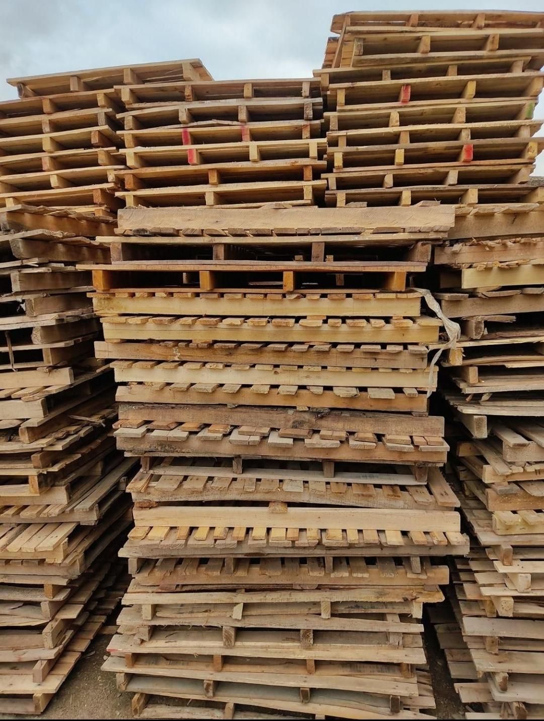 خرید و فروش انواع پالت چوبی در ابعاد مختلف|عمده‌فروشی|مشهد, کشاورز|دیوار