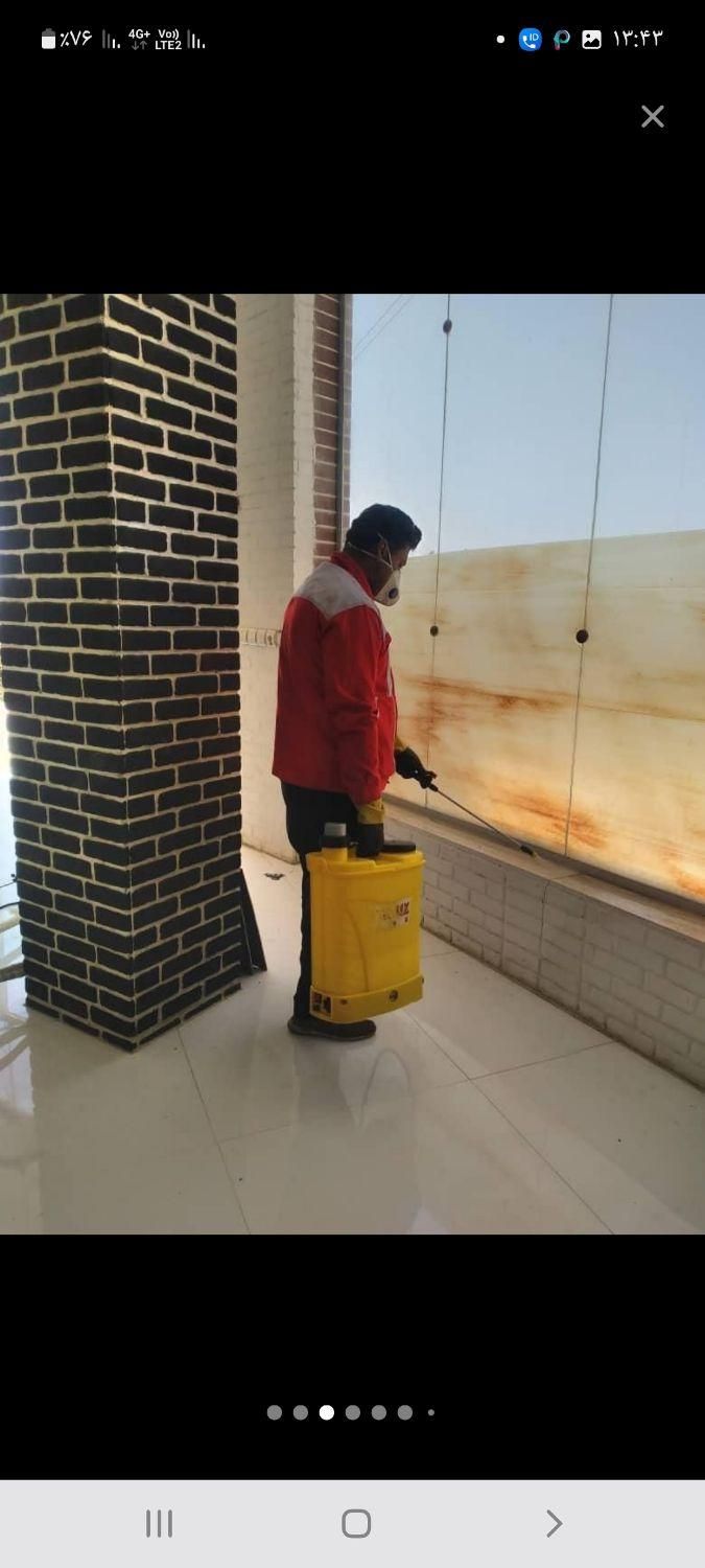 (شرکت سمپاشی منازل)سم پاشی موریانه ساس سوسک موش|خدمات نظافت|اهواز, سپیدار|دیوار