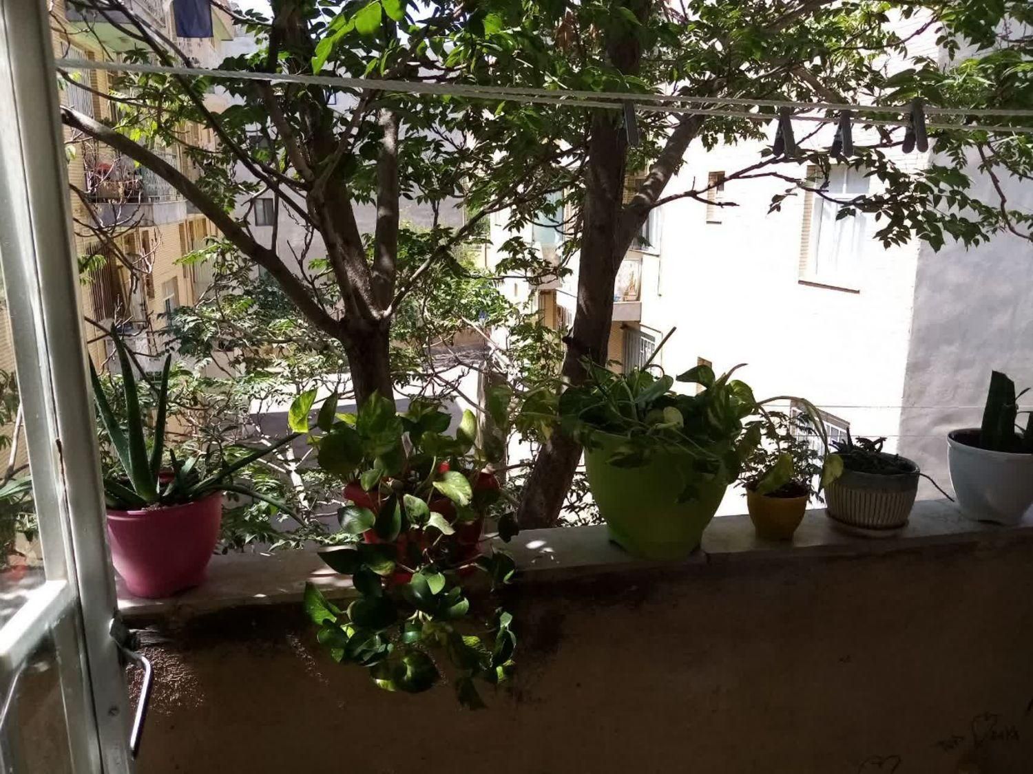 فروش آپارتمان ۸۲ متری ۲ خوابه طبقه ۲ شهرک جهان‌نما|فروش آپارتمان|کرج, شهرک جهان‌نما|دیوار
