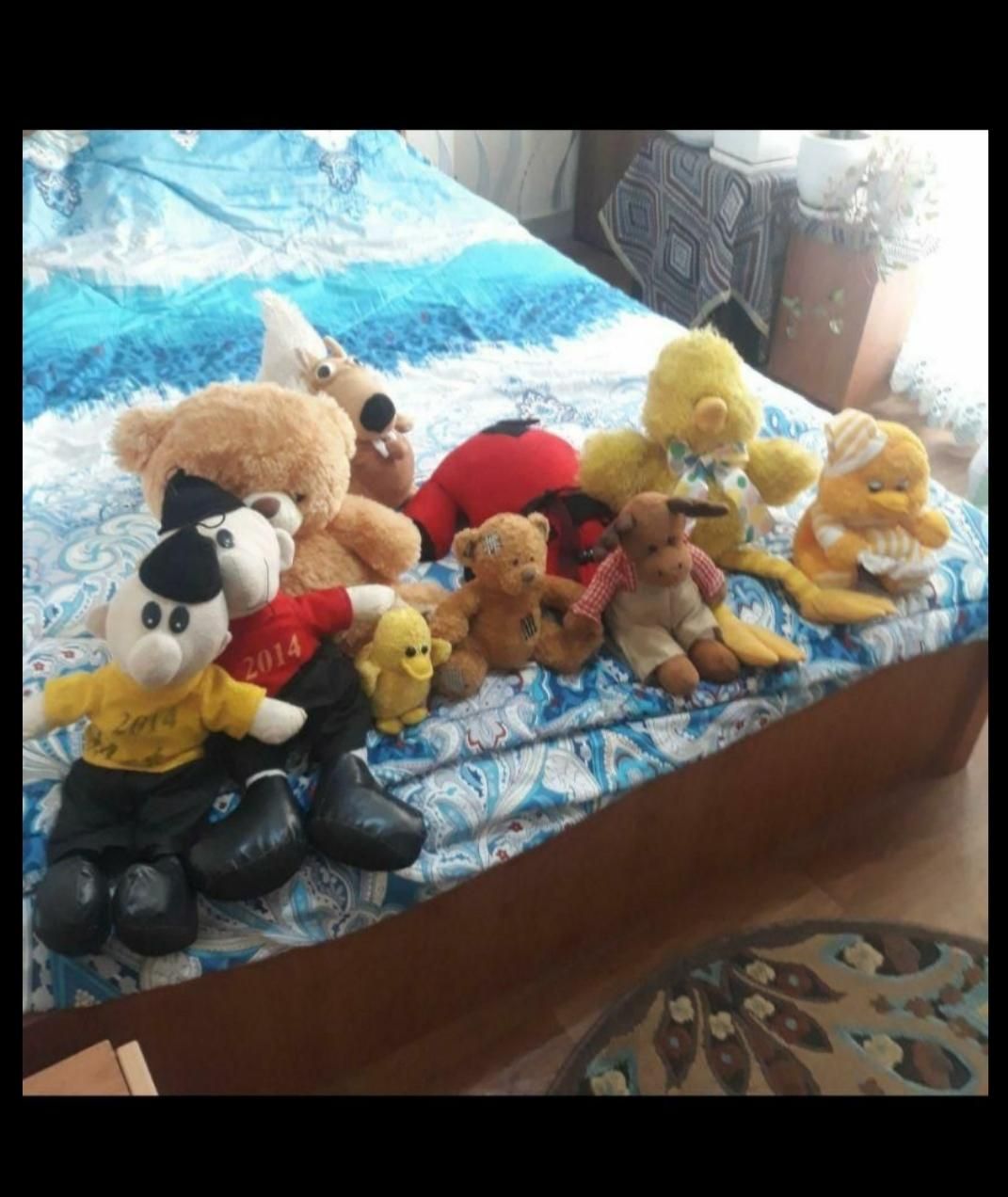 عروسک|اسباب‌‌بازی|ساری, |دیوار