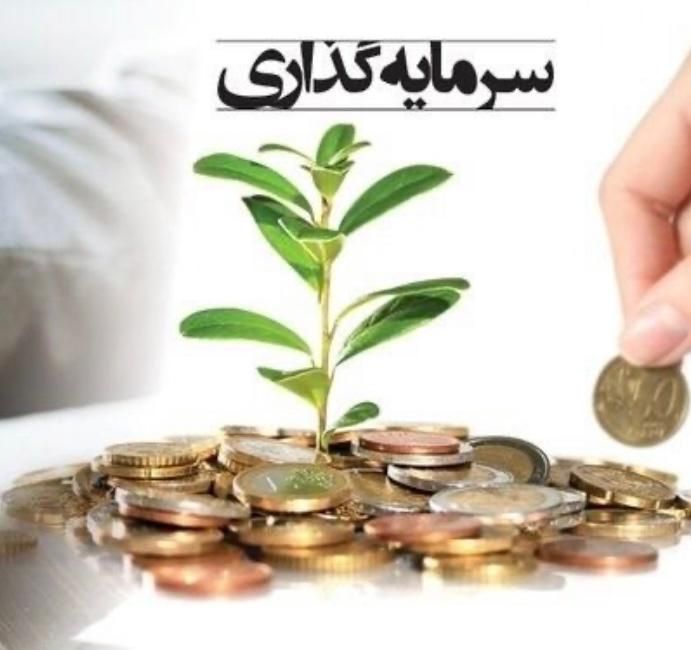 سرمایه گذاری کم ریسک و مطمئن با بازدهی بالا|خدمات مالی، حسابداری، بیمه|تهران, تهرانپارس غربی|دیوار