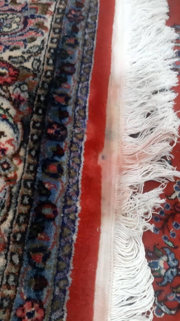 فرش دستباف ۶ متری|فرش|رشت, نظری|دیوار