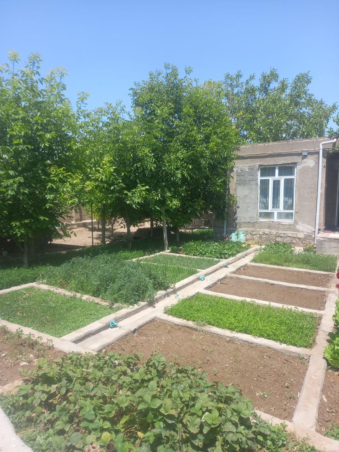 فروش زمین ۱۰۱۳ متری|فروش زمین و ملک کلنگی|باروق, |دیوار