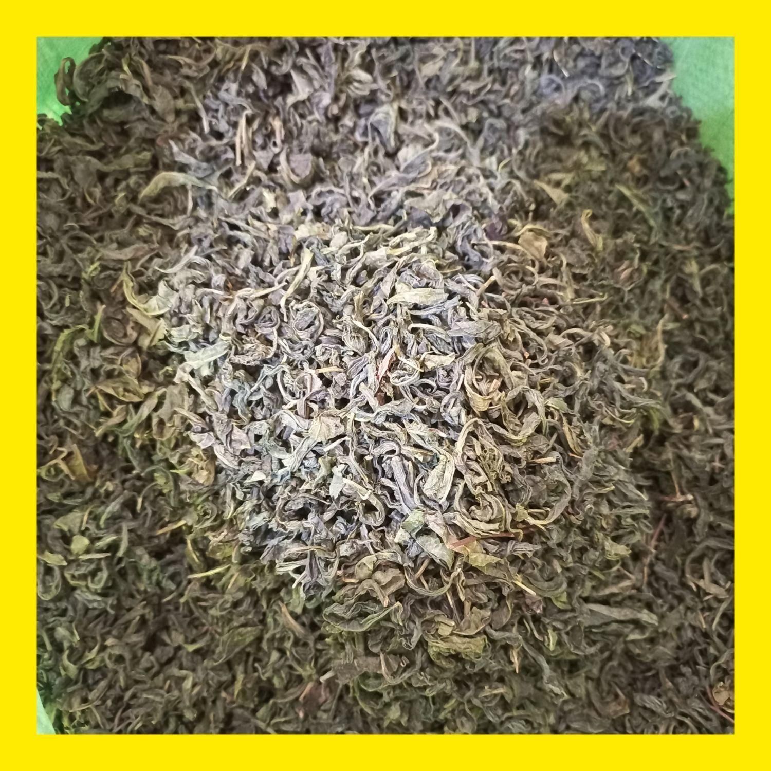 محصول لاهیجان عمده چای سبز|خوردنی و آشامیدنی|لاهیجان, لیالستان|دیوار