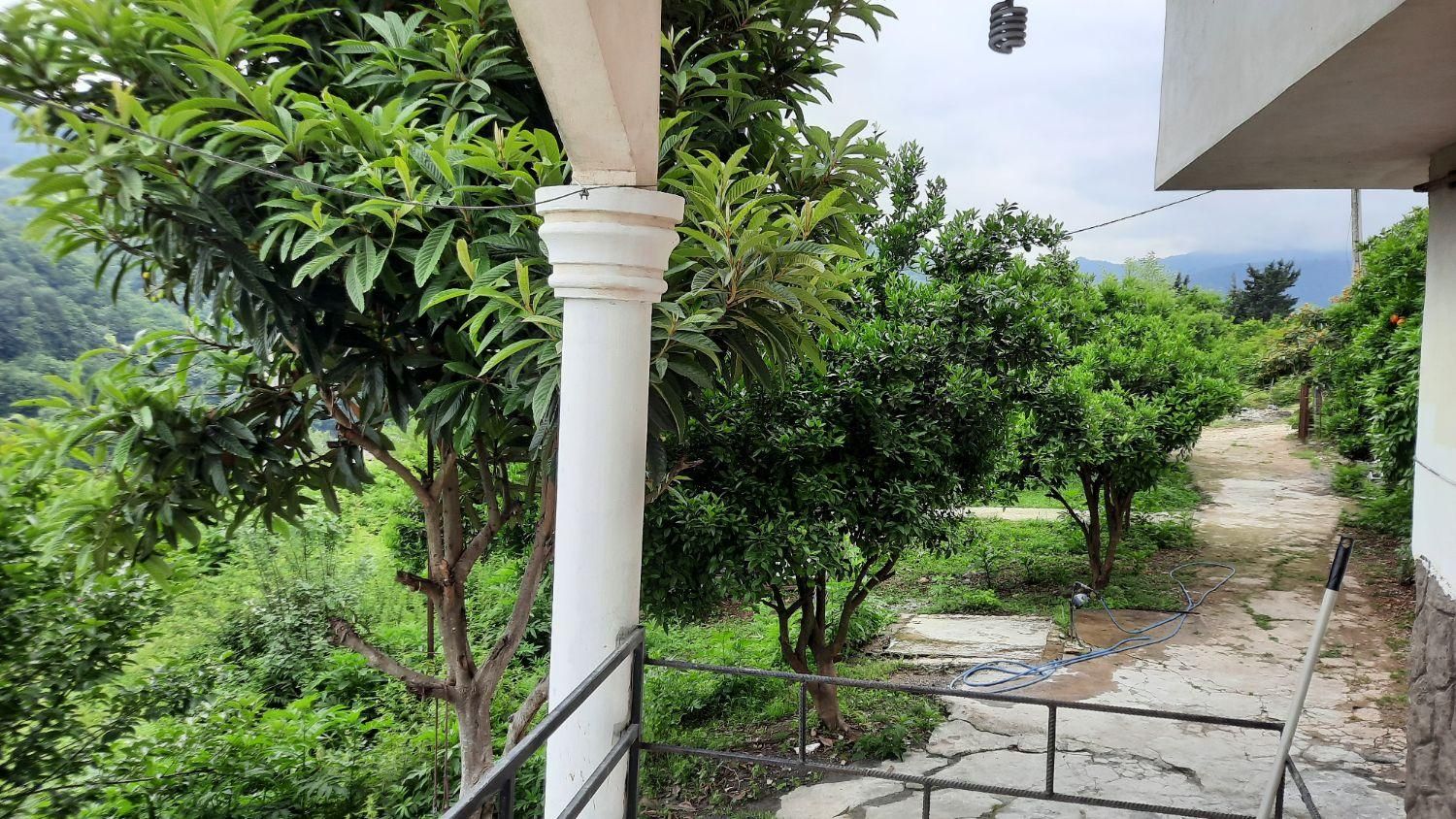 ویلا جنگلی/شبانه/روزانه/وییو کامل جنگل|اجارهٔ کوتاهمدت ویلا و باغ|چالوس, |دیوار