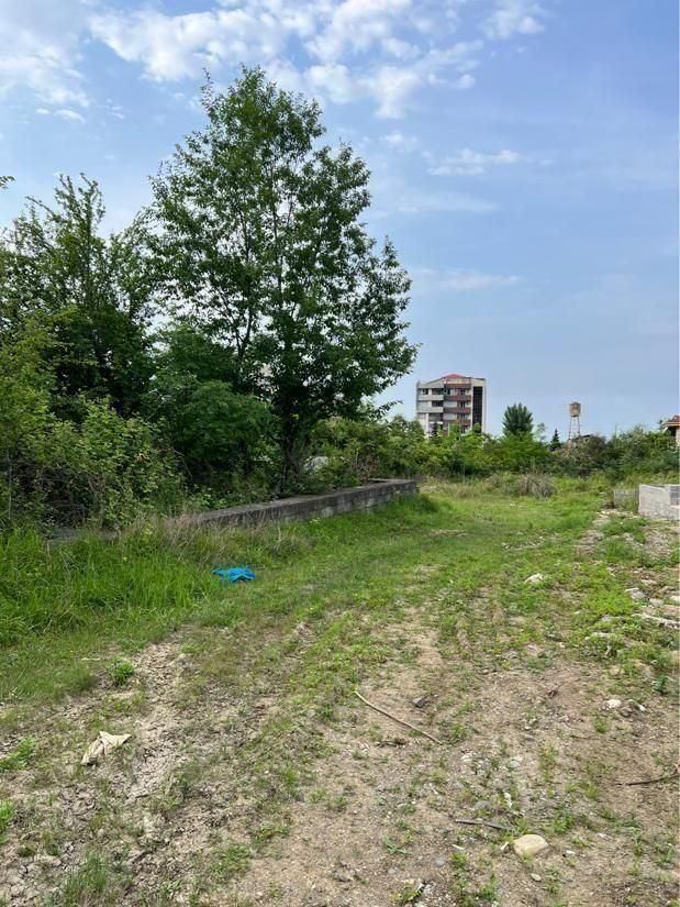 ۲۸۹ مترمربع زمین با پروانه ساخت سندششدانگ|فروش زمین و ملک کلنگی|رامسر, |دیوار