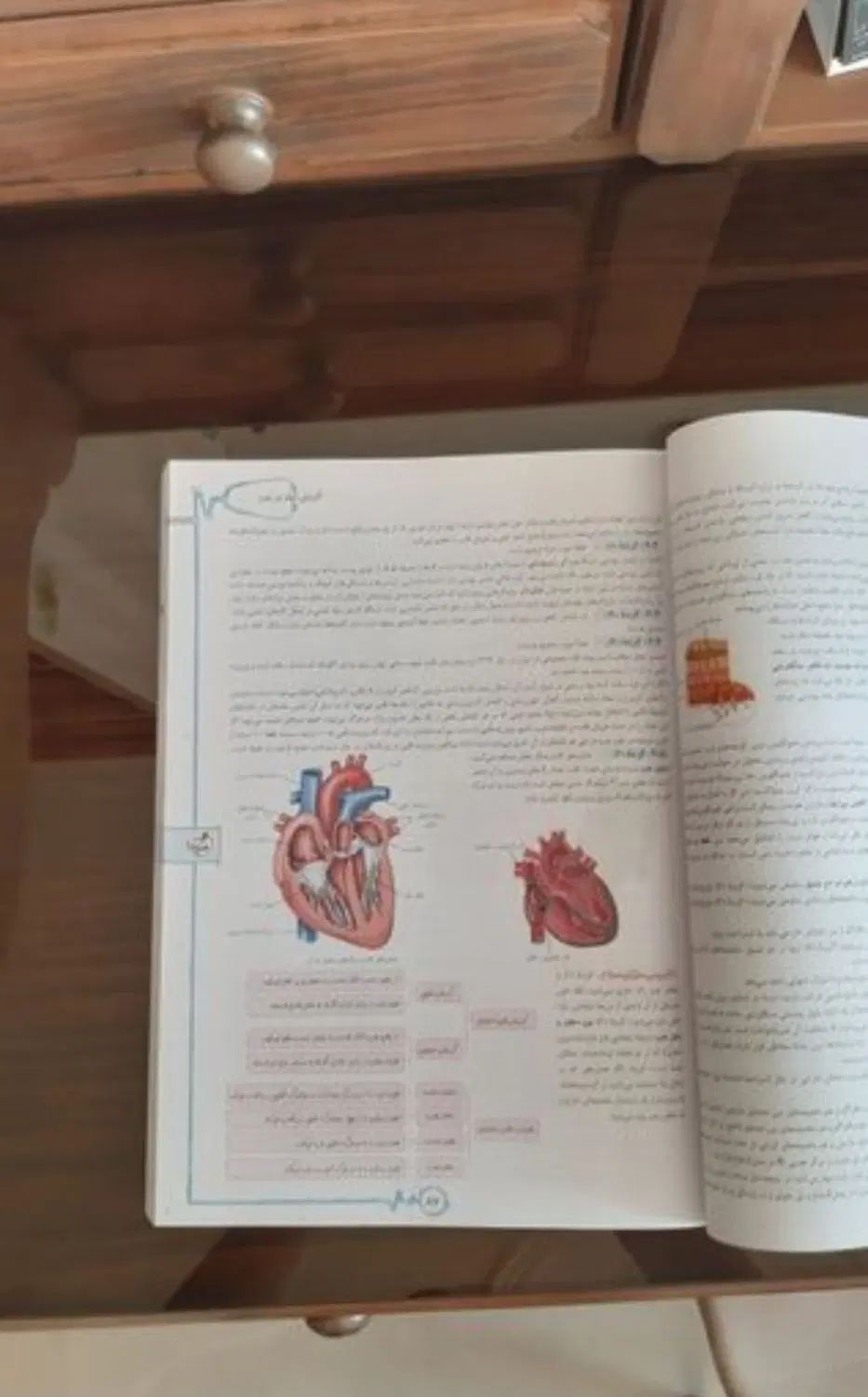 زیست شناسی جامع خیلی سبز ۴۰۴|کتاب و مجله آموزشی|تهران, فردوسی|دیوار
