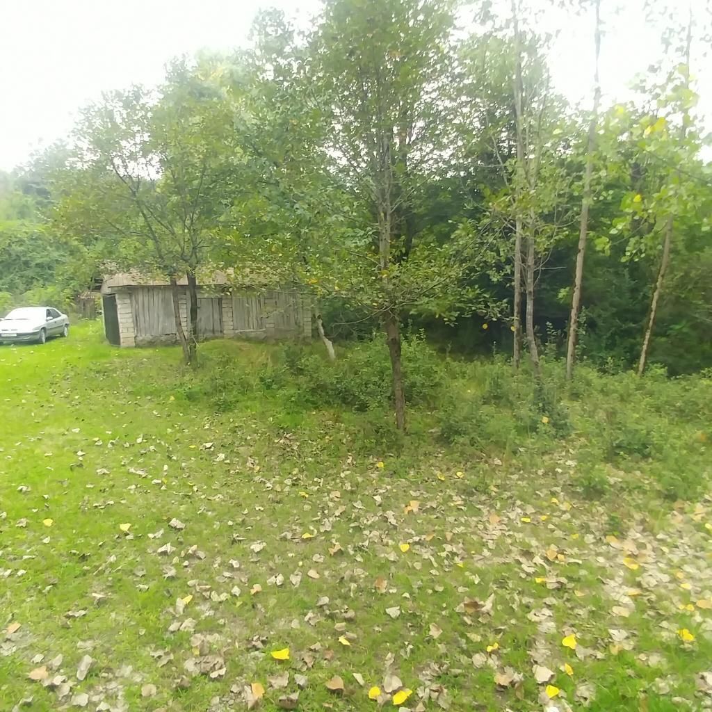 زمین‌جنگلی‌‌در‌قطعات‌مختلف سراوان/ کچا‌/جوکلبندان|فروش زمین و ملک کلنگی|سنگر, |دیوار