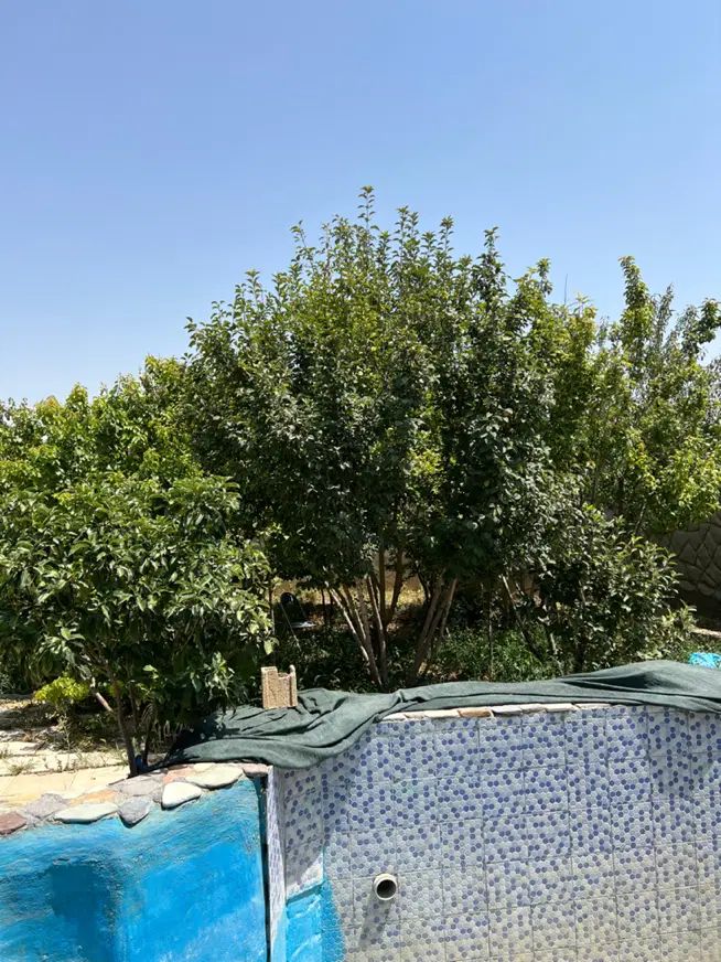 ویلاباغ ۵۴۰متر کارکرد معاوضه واحد گلدشت قلعه سفید|فروش خانه و ویلا|اصفهان, جلفا|دیوار