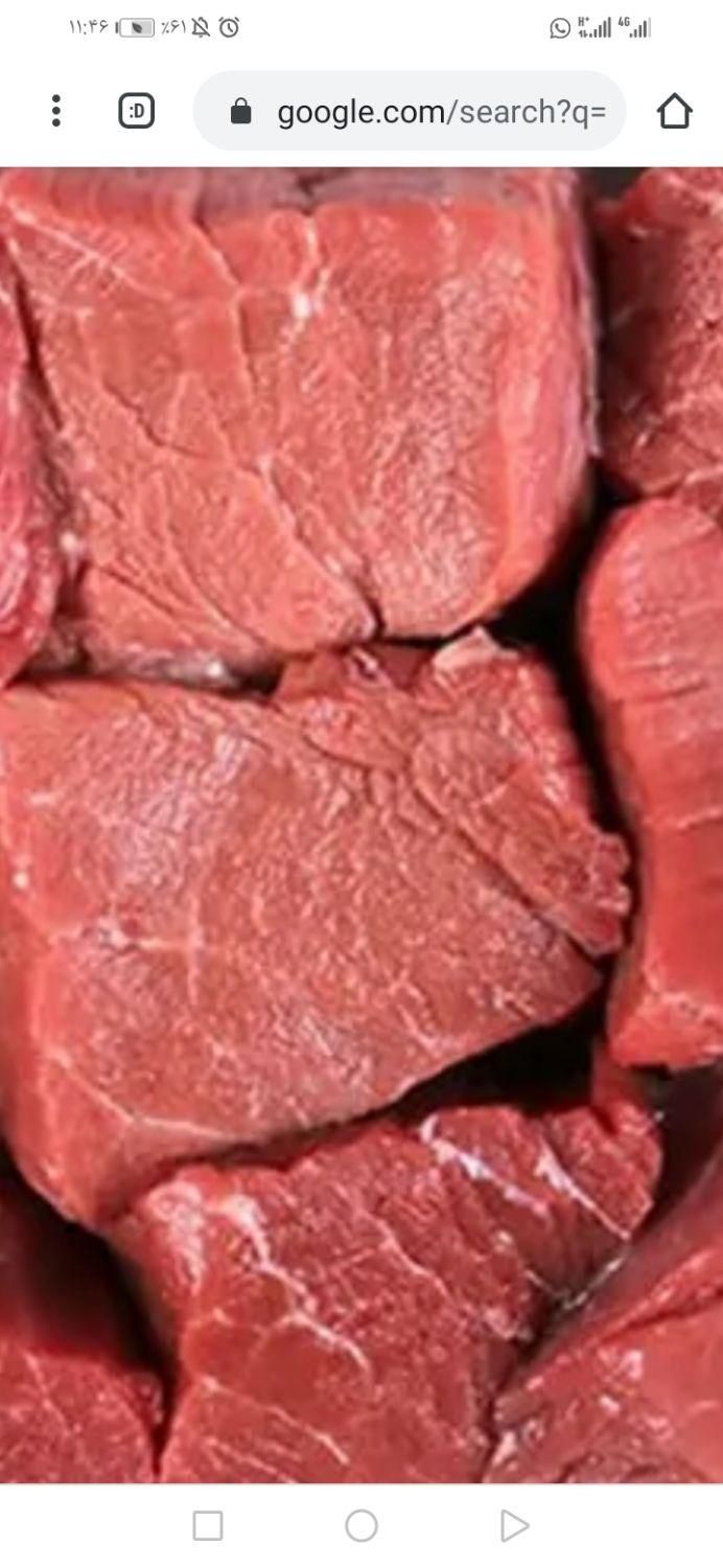 گوشت گوساله چرخ کرده|خوردنی و آشامیدنی|شیراز, باغ تخت|دیوار