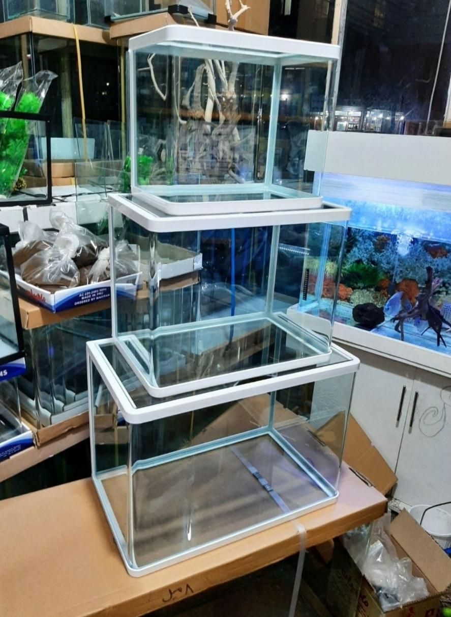 آکواریوم شیشه خم شرکتی دلساوآکوا باارسال|ماهی|تهران, تولید دارو|دیوار