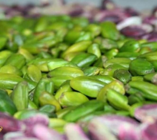 پوست گیر پسته /  پوست گیر بادام درختی و زمینی|فروشگاه و مغازه|مشهد, صیاد شیرازی|دیوار