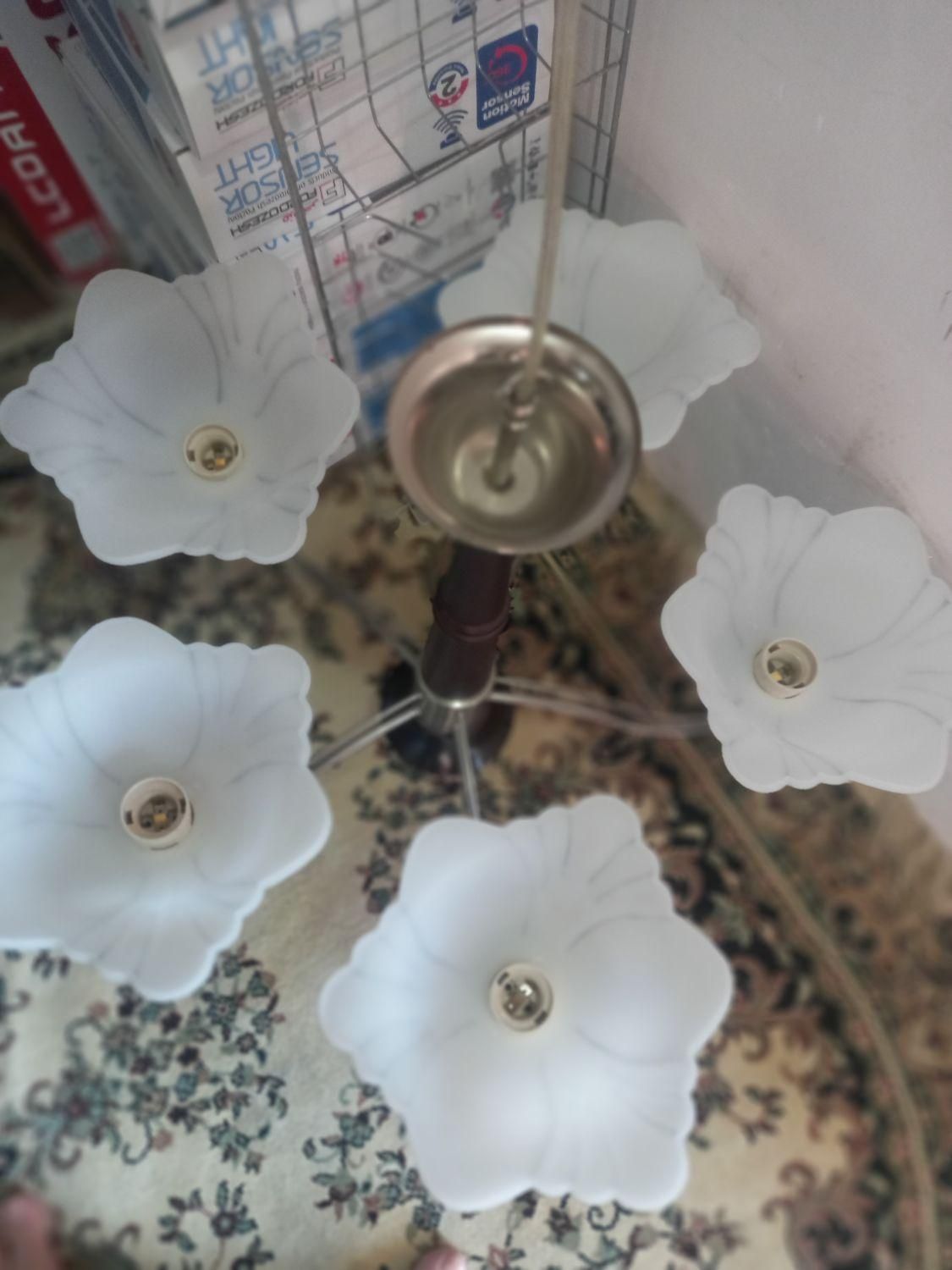 لوستر۵شاخه|لوستر و چراغ آویز|قزوین, |دیوار