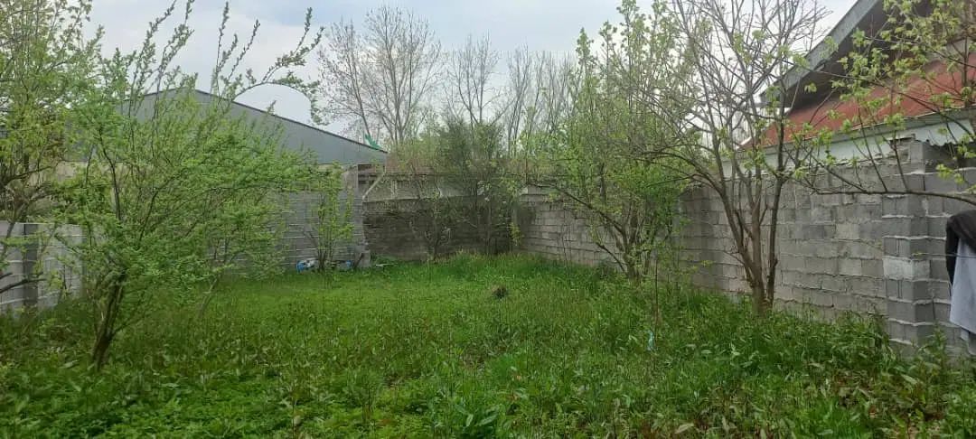 فروش ۲۹۱ متر زمین مسکونی در روستای منگوده. گلسار|فروش زمین و ملک کلنگی|پیربازار, |دیوار