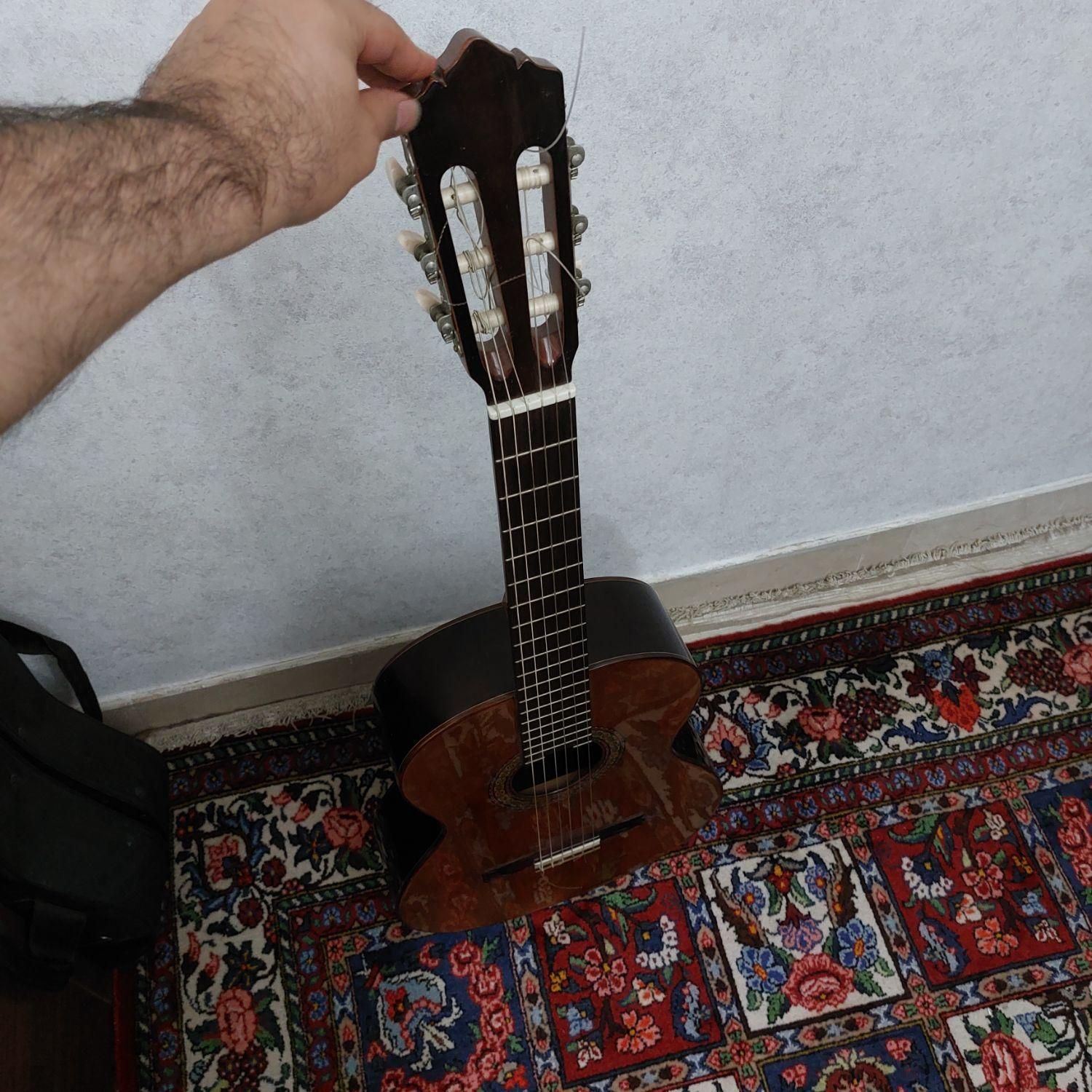 گیتار  j.perez 630|گیتار، بیس، امپلیفایر|تهران, فردوس|دیوار