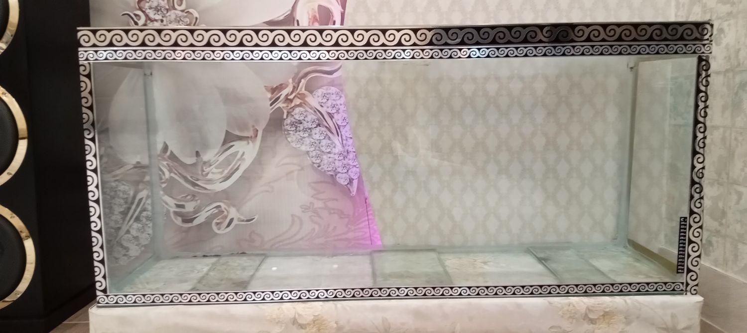 آکواریوم سالم و تمیز شیشه ۱۰ میل|ماهی|گلستان (تهران), |دیوار