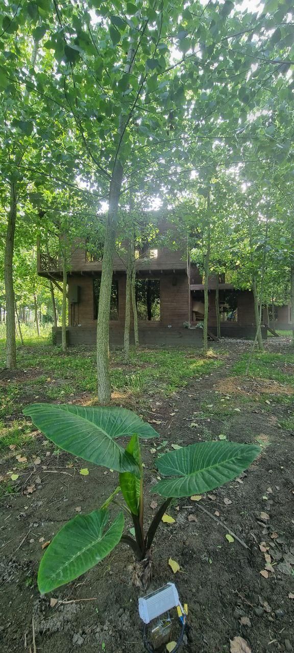 ویلایی دلباز لوکیشن شهرکی|فروش خانه و ویلا|محمدشهر, شهرک پیام (مهرالبرز)|دیوار