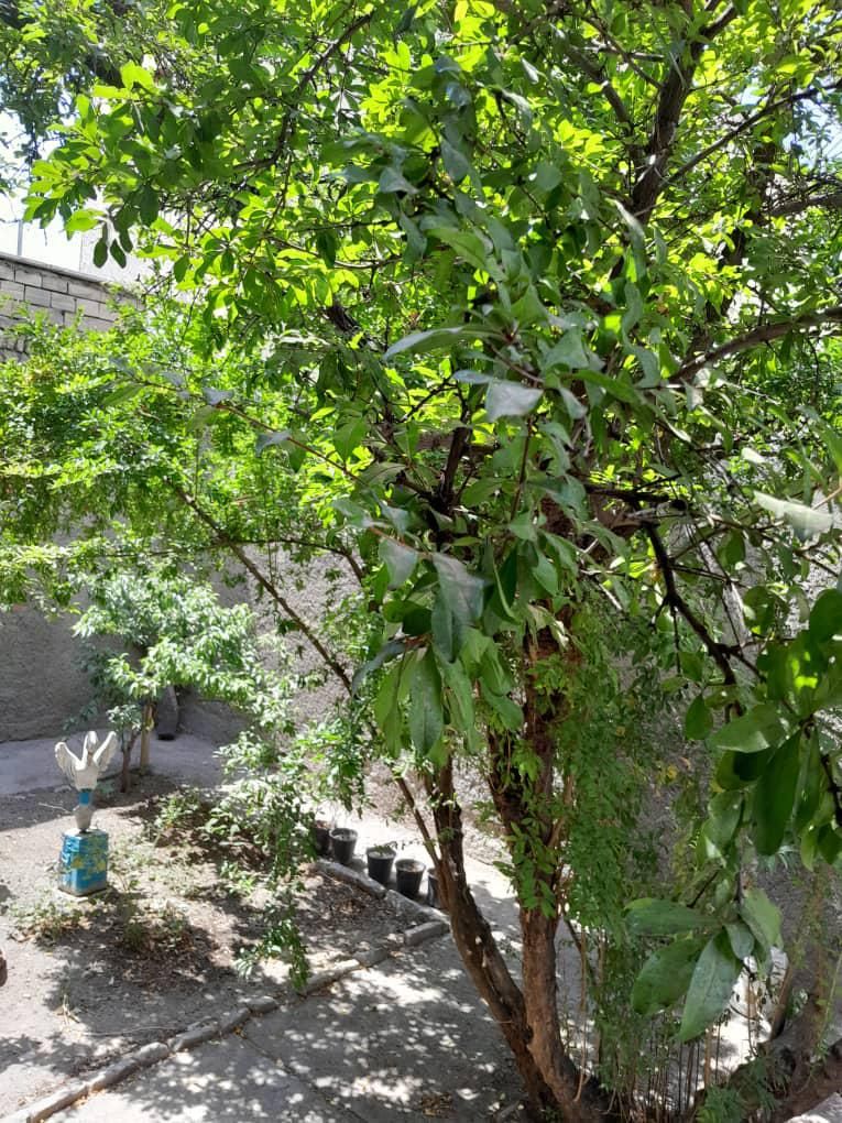 اجاره ویلایی ۲۰۰ متری در شهرک جهان‌نما|اجارهٔ آپارتمان|کرج, شهرک جهان‌نما|دیوار