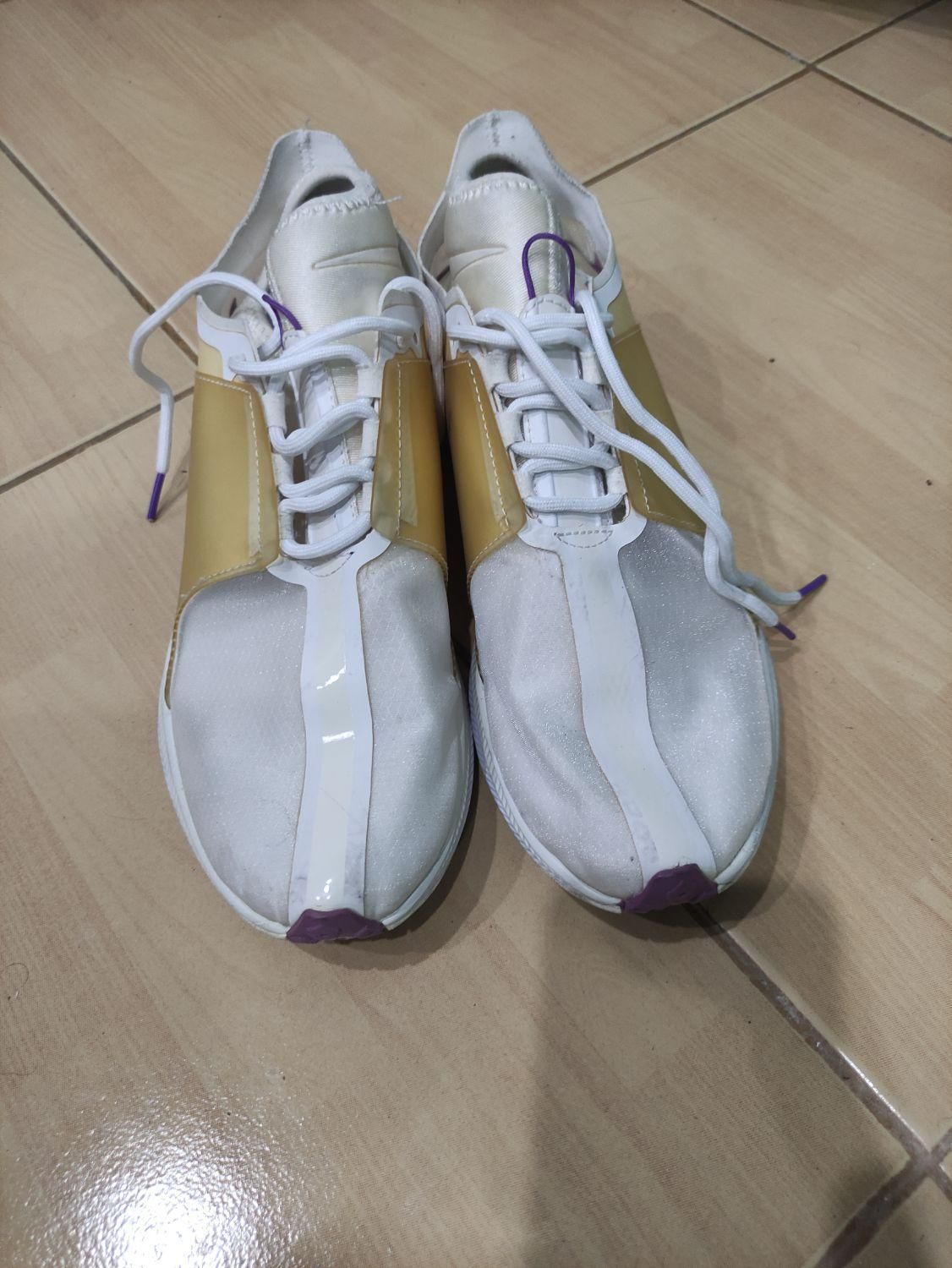 کفش اورجینال|کیف، کفش، کمربند|گرگان, |دیوار