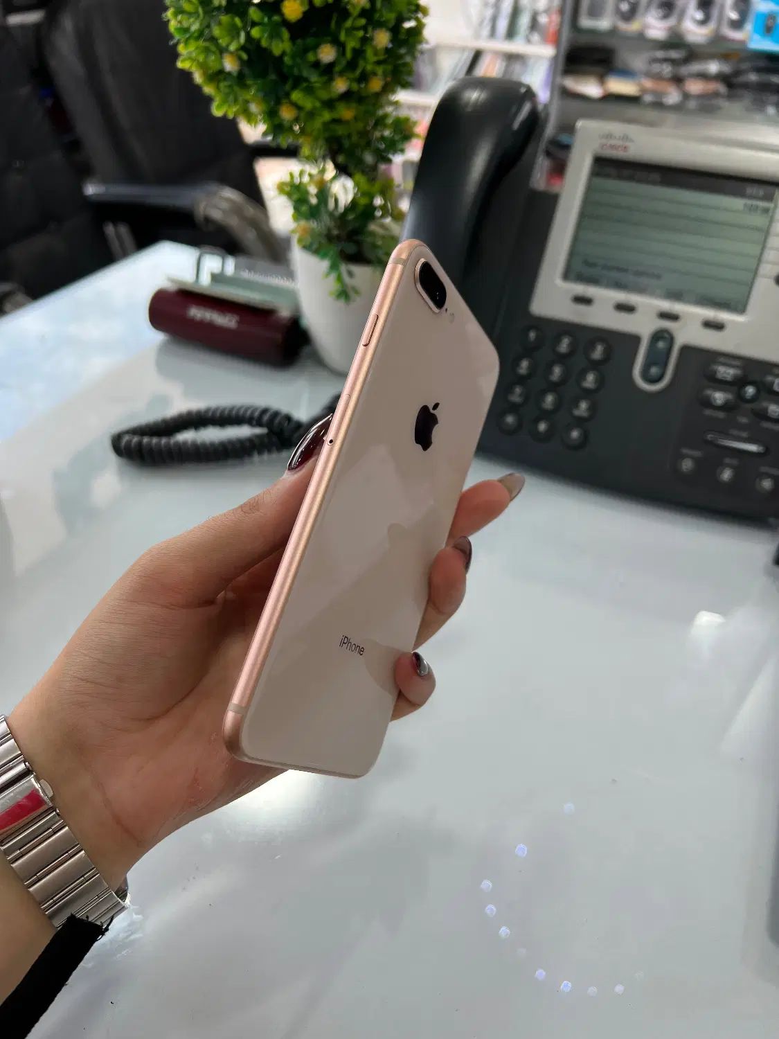iPhone 8 plus|موبایل|رشت, حاجی آباد|دیوار