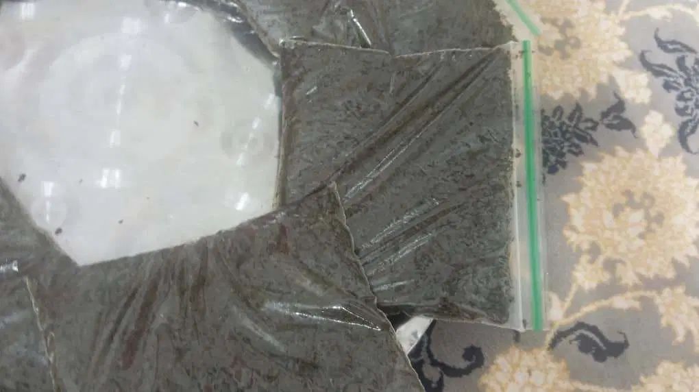 سبزی قرمه|خوردنی و آشامیدنی|کرج, آتشگاه|دیوار