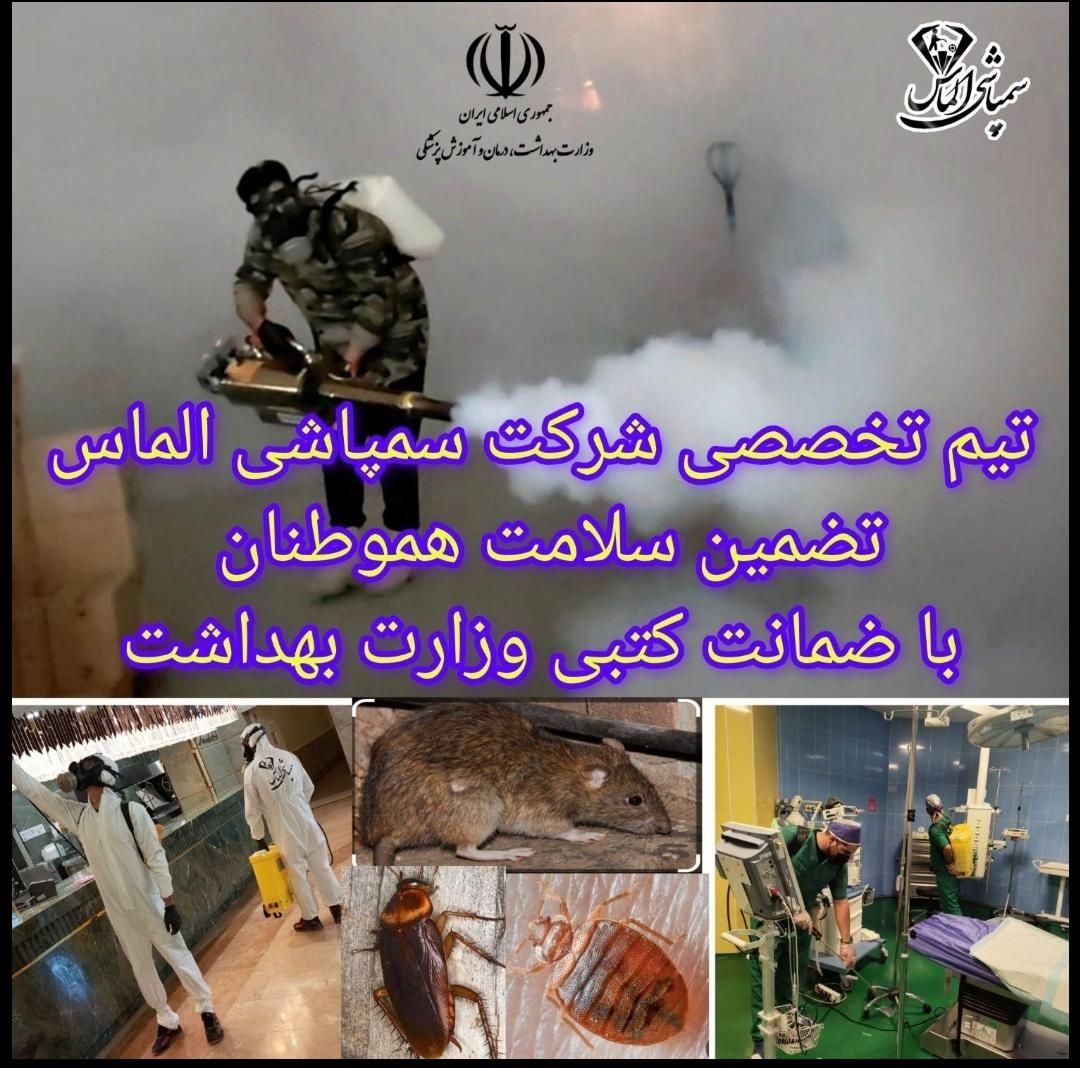 سمپاشی موش ساس سوسک بامجوز وضمانت کتبی کل مناطق|خدمات نظافت|تهران, تهرانسر مرکزی|دیوار