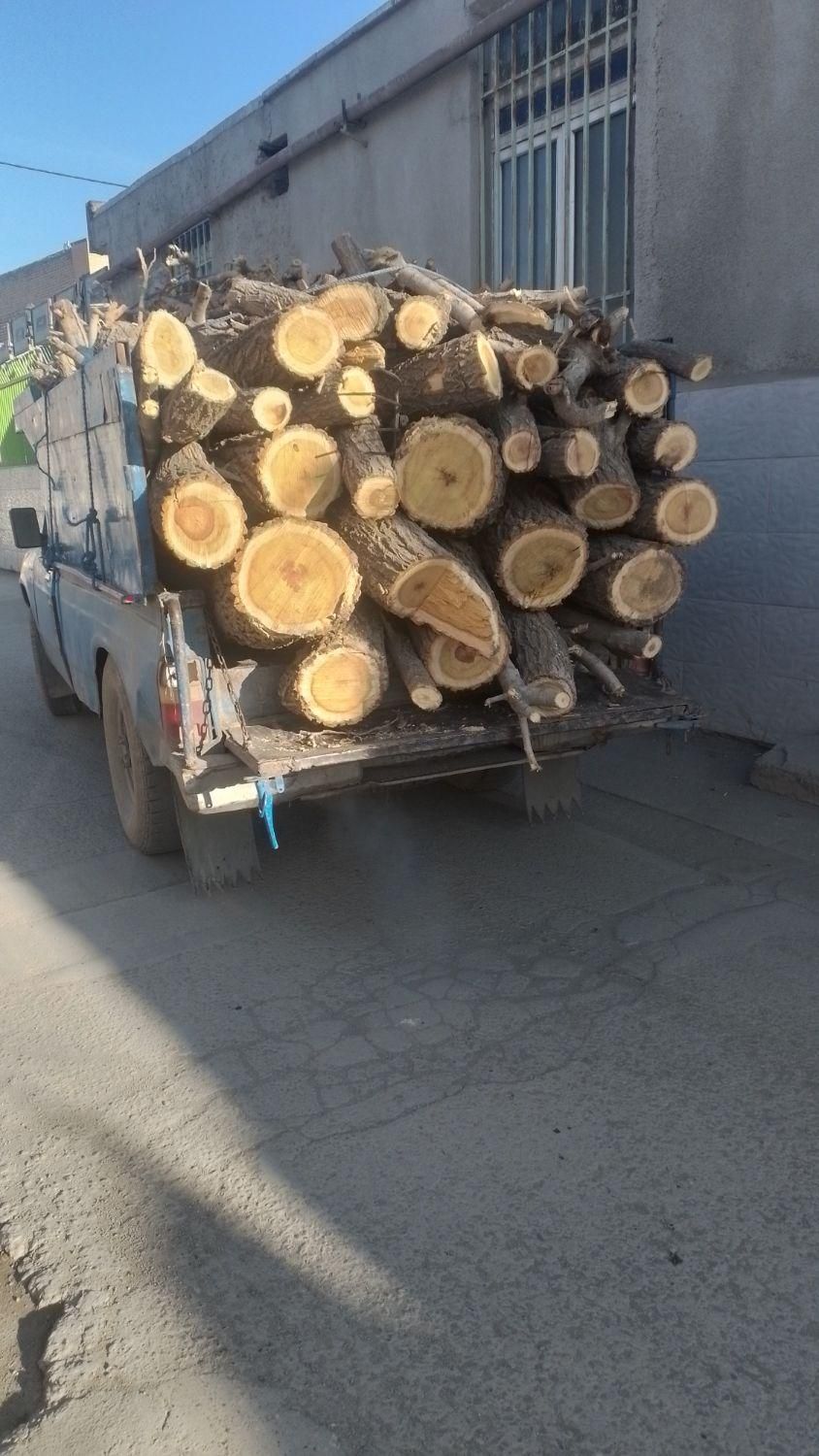 خریدچوب ودرخت همه نوع حرس درخت تسویه نقدی|خدمات باغبانی و درختکاری|نیشابور, چاه بلند|دیوار