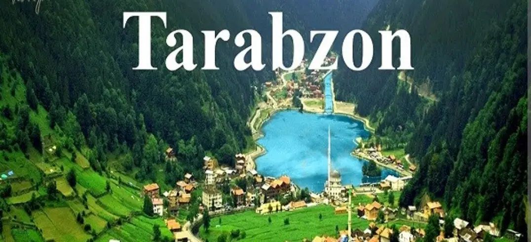 تورهای خارجی زمینی|تور و چارتر|تهران, یوسف‌آباد|دیوار