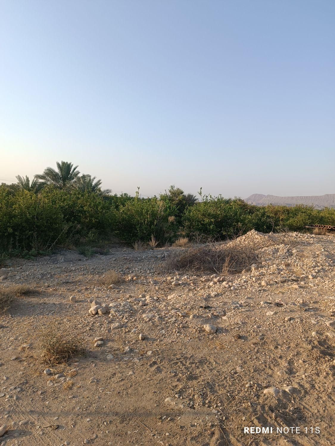 زمین با چاه برقی فورگ داراب|مشارکت در ساخت املاک|جیرفت, |دیوار