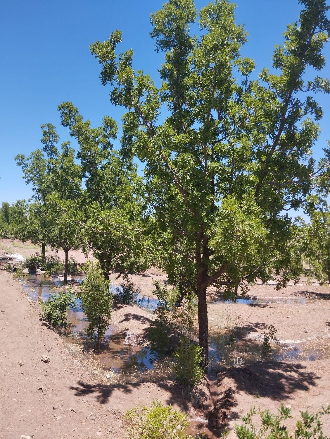 تصویر 4