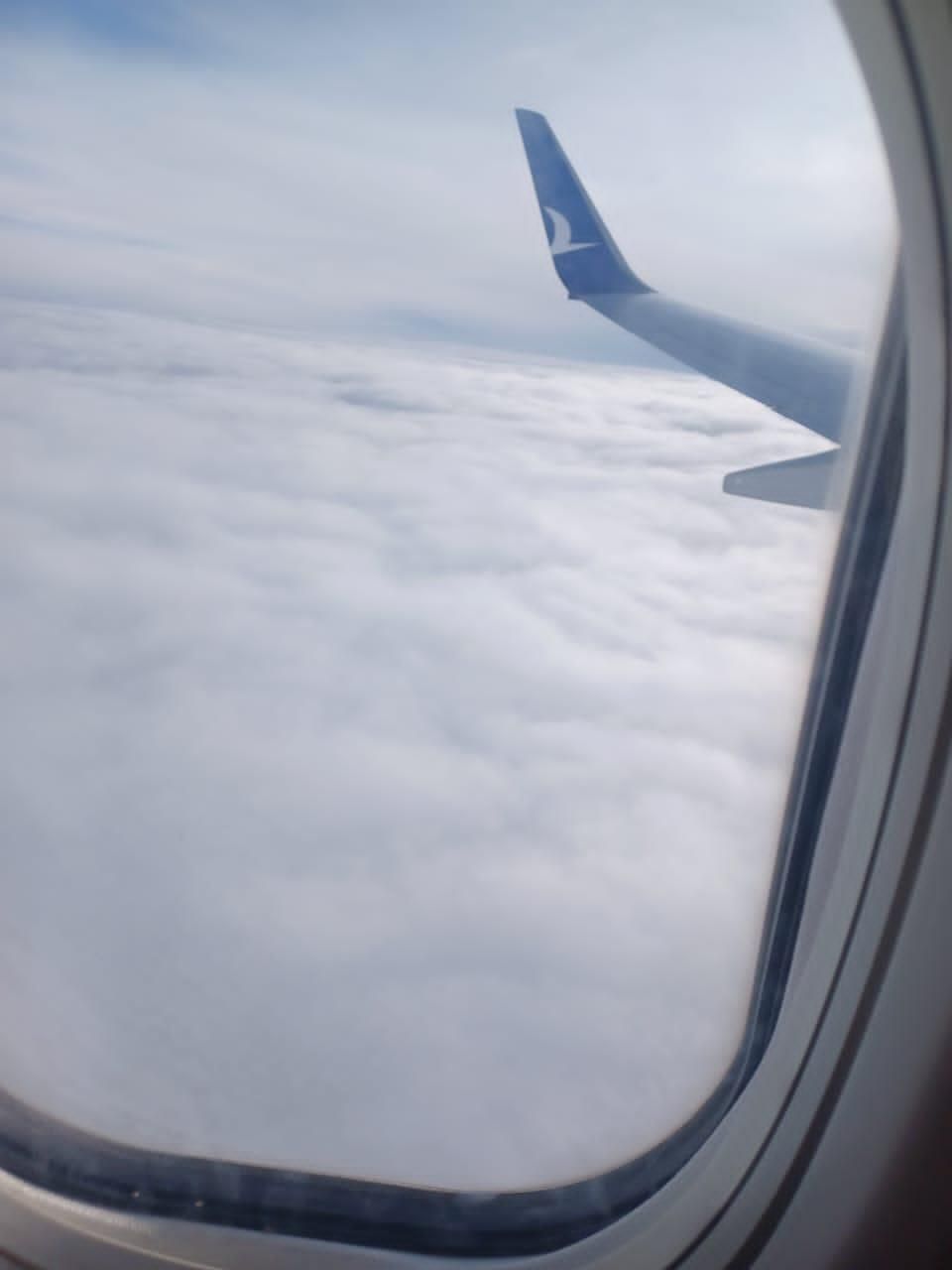 مشاوره تخصصی مهاجرت و اخذ ویزای شینگن|خدمات حمل و نقل|کرمانشاه, |دیوار