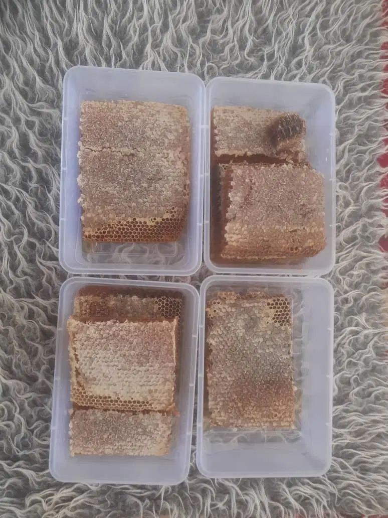 عسل کوهی قره داغ|خوردنی و آشامیدنی|تبریز, |دیوار