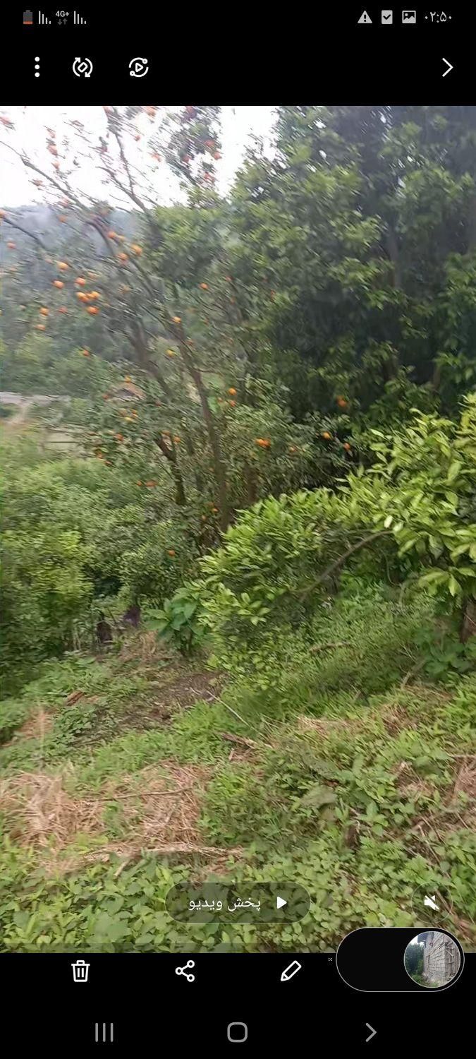 ۱۱.۰۰۰مترزمین۷۰متربناویوبینظیرلاهیجان اطاقور.تعاتر|فروش خانه و ویلا|لاهیجان, لیل|دیوار