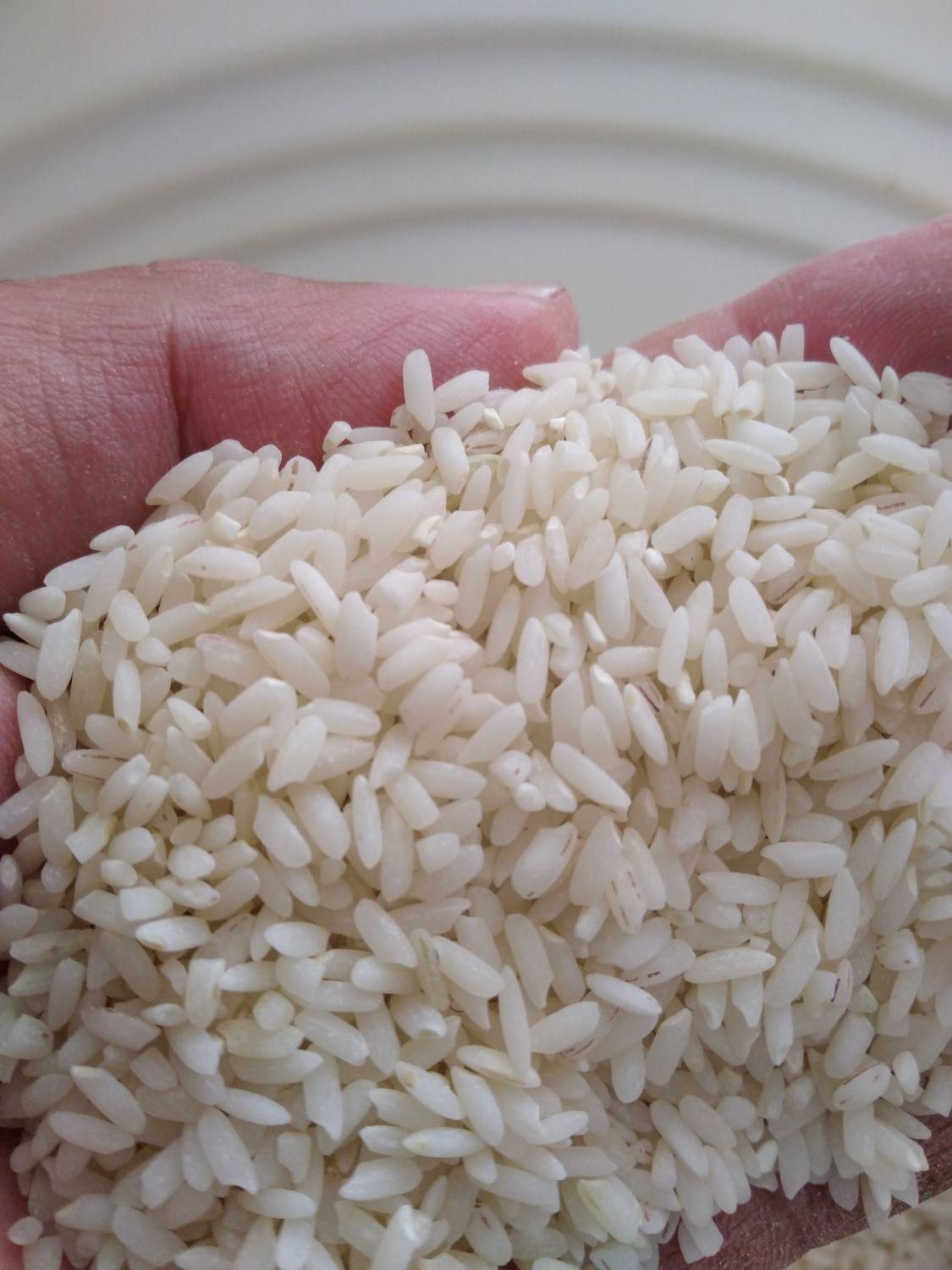 برنج سوسن|خوردنی و آشامیدنی|ایذه, |دیوار