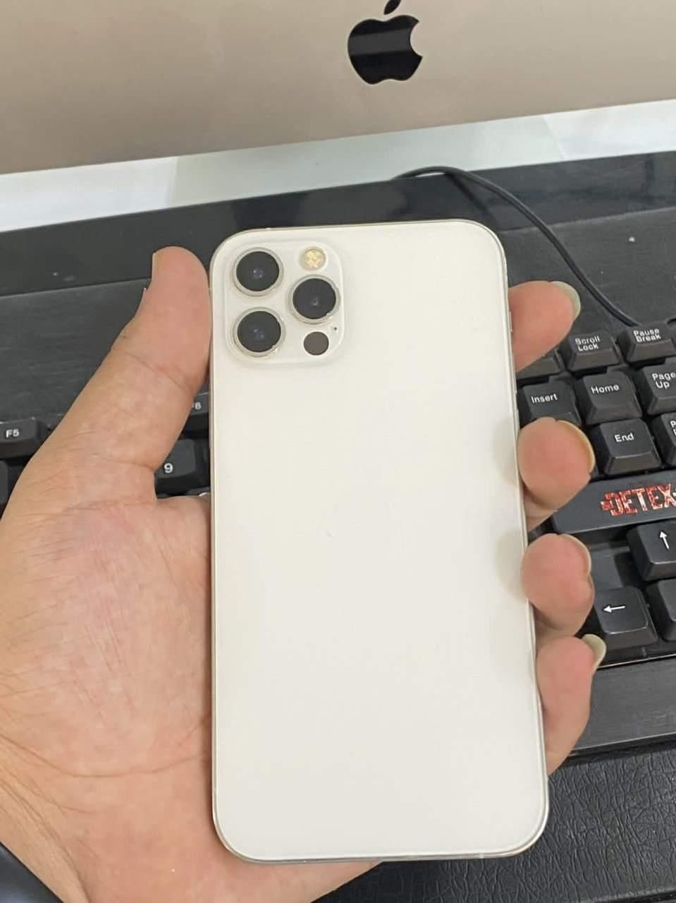 iphone 12 pro 256 zaa از دم قسط و نقدی|موبایل|کرج, عظیمیه|دیوار