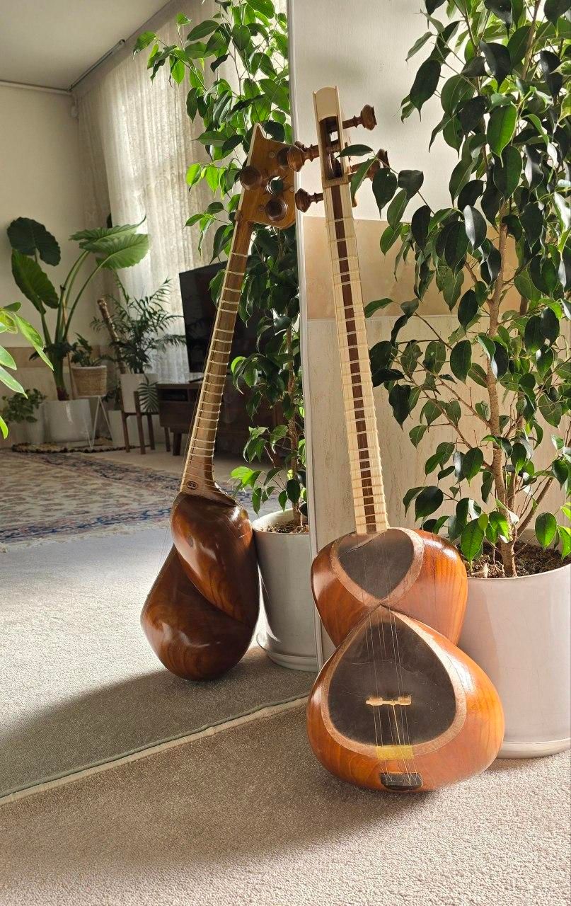 تار حرفه ای|سازهای سنتی|کاشمر, |دیوار